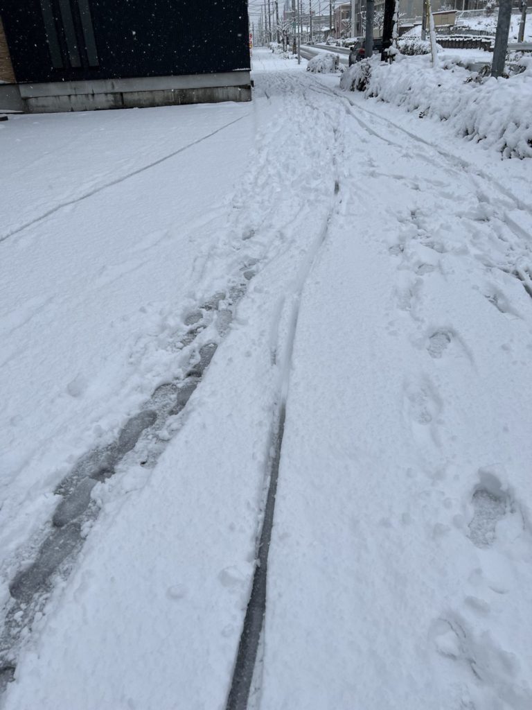 夕方には雪は無くなっていた（朝の状態）