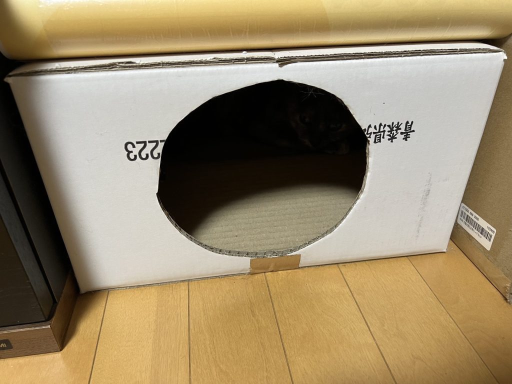 新しい箱が設置されてた、その１