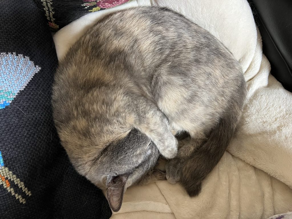 実家へ行く