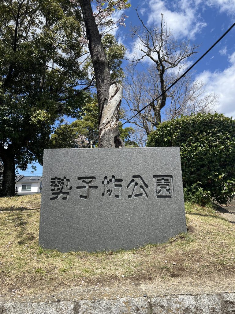 勢子坊公園の桜、その１